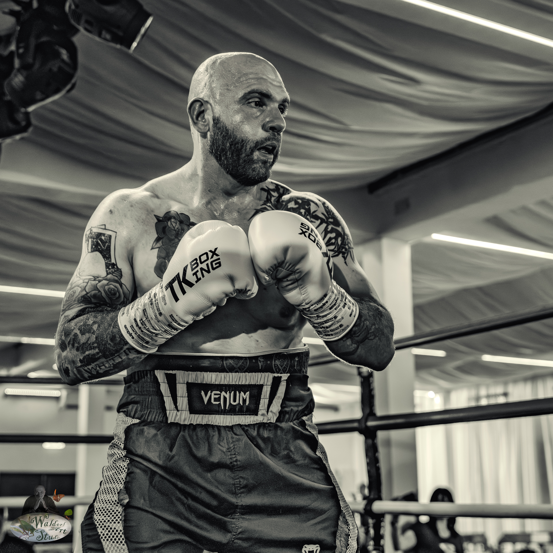 Black and white portrait of a focused boxer wearing white TK Boxing gloves and Venum shorts, captured mid-fight during the Boxing Gala Derby final by Waldorf Art Studio. The image highlights sweat, tattoos, and raw intensity under the ring lights.