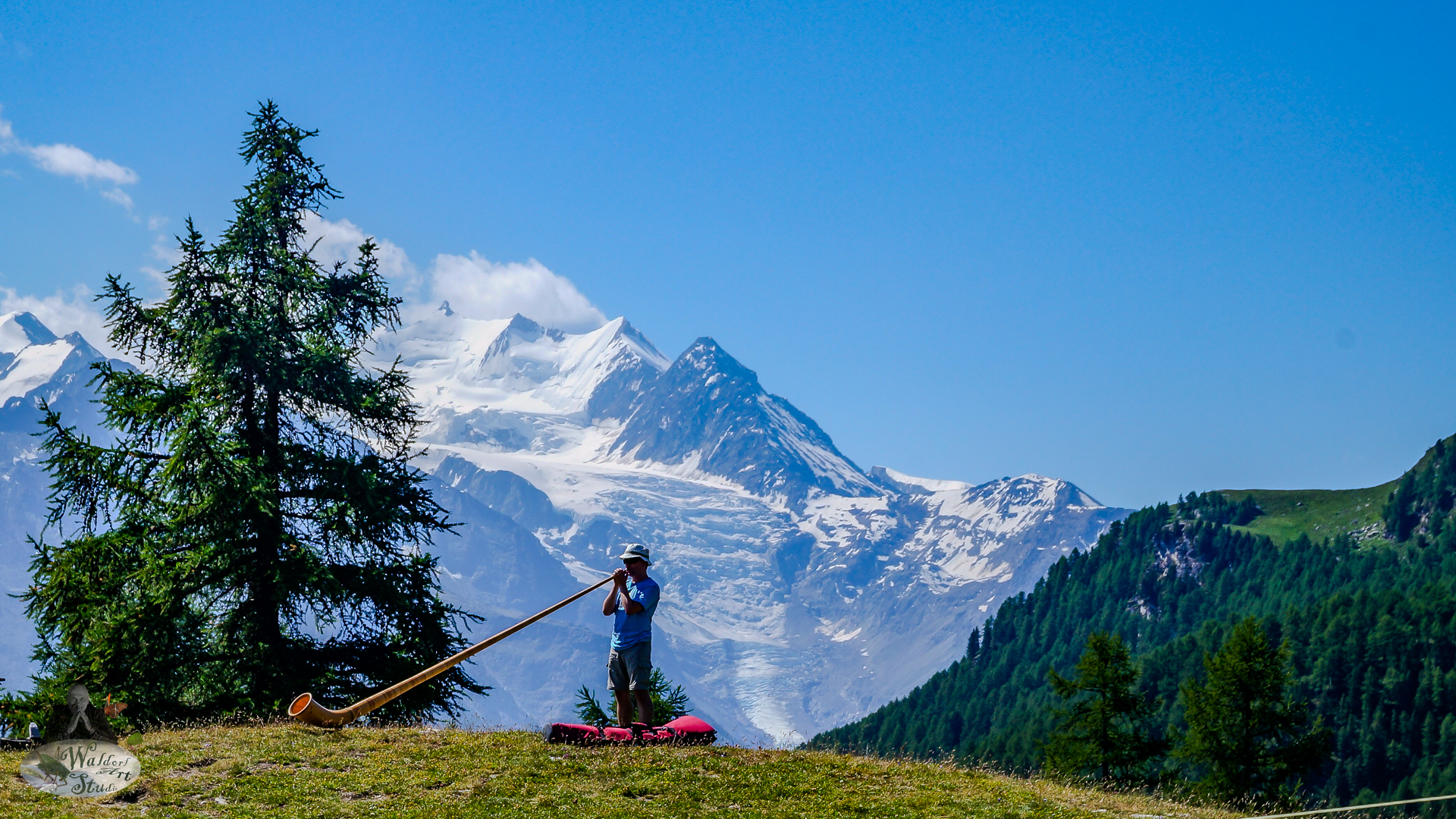 A man plays an alpine horn on a grassy hillside, framed by evergreen trees and towering snow-covered Swiss mountains under a clear blue sky.